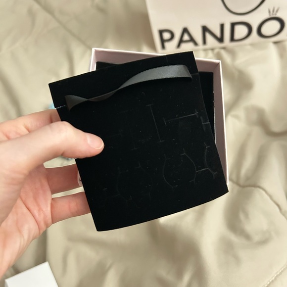 Pandora gift bags and bracelet boxes jewelry cleaner set - Picture 4 of 9